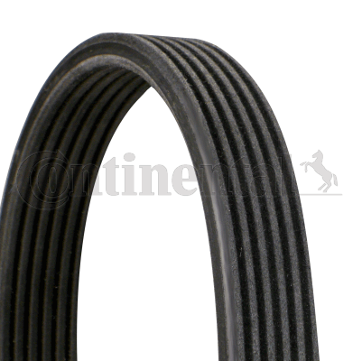 CONTINENTAL CTAM 6DPK1215 V-Ribbed Belt