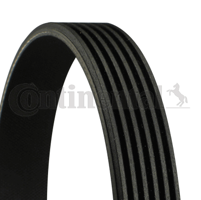 CONTINENTAL CTAM 6PK1095 V-Ribbed Belt