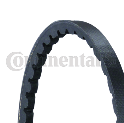 CONTINENTAL CTAM AVX10X1375 V-Belt