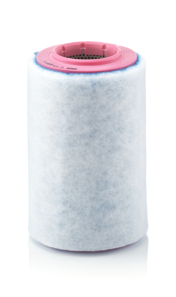 MANN-FILTER C 17 237/1 Air Filter
