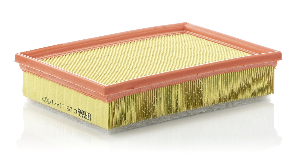 MANN-FILTER C 25 114/1 Air Filter