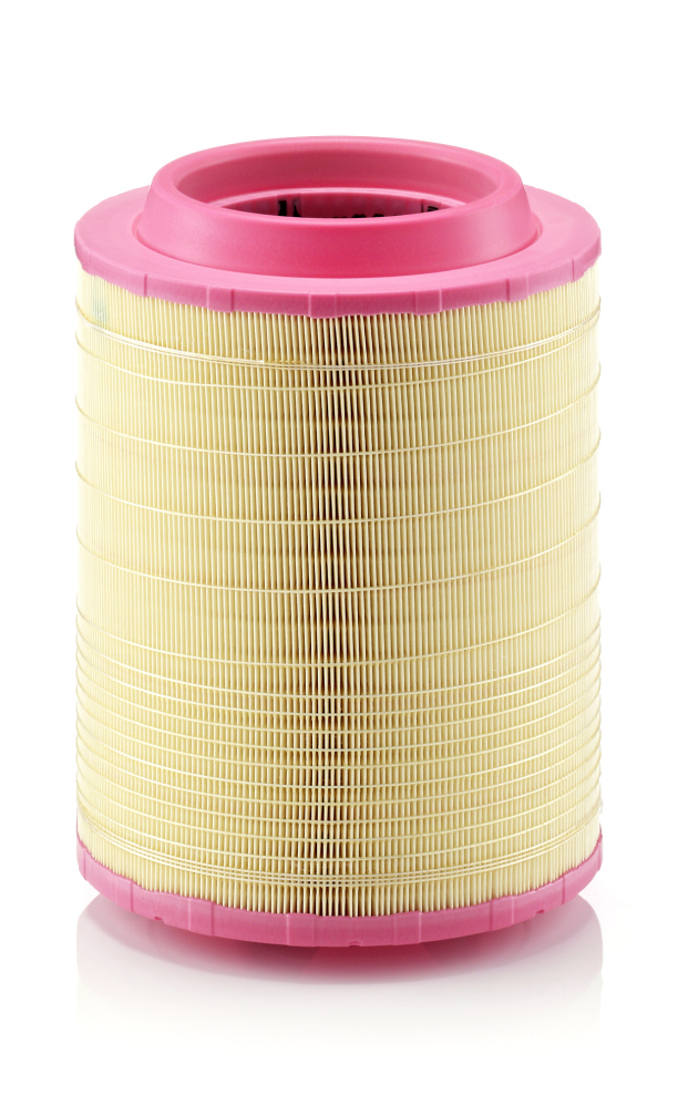 MANN-FILTER C 25 660/2 Filtre à air