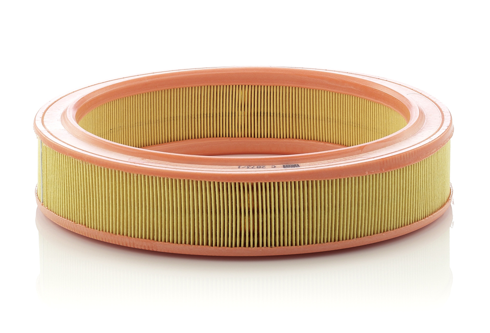 MANN-FILTER C 2873/1 Air Filter