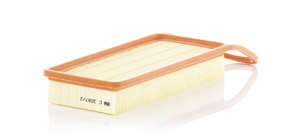 MANN-FILTER C 3087/2 Filtre à air