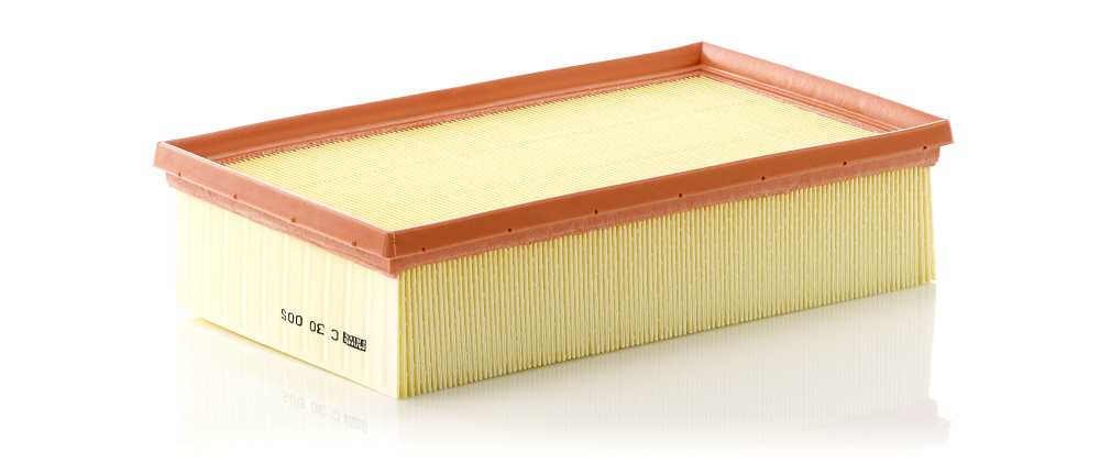 MANN-FILTER C 30 005 Air Filter