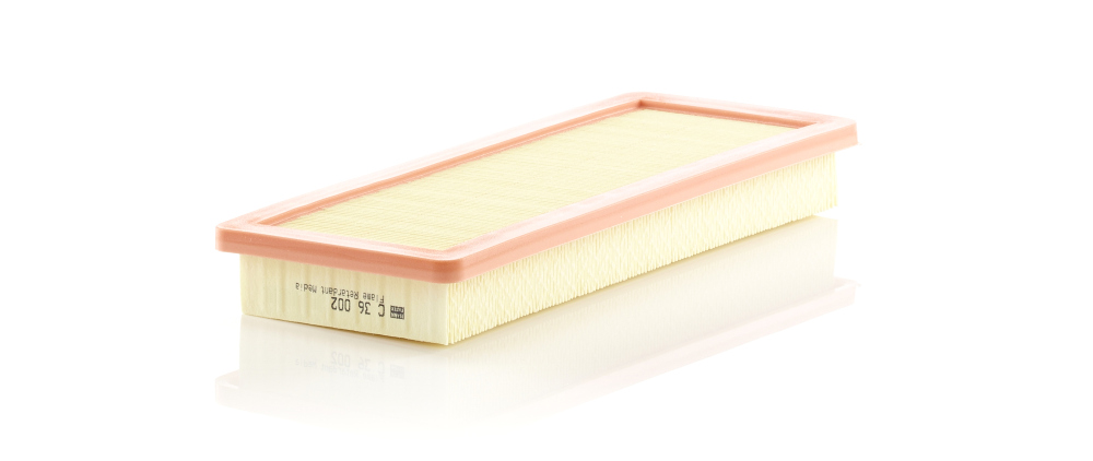 MANN-FILTER C 36 002 Air Filter