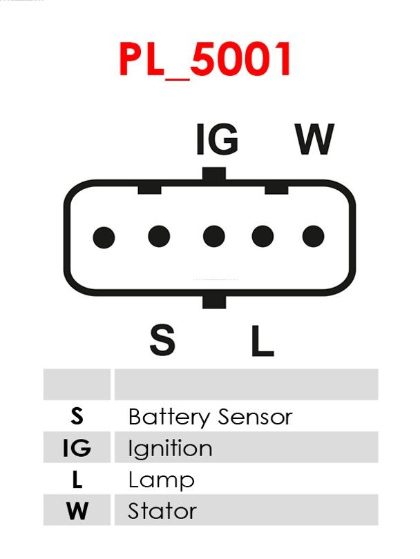 239081