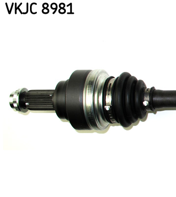 vkjc%208981_2