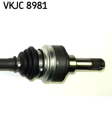 vkjc%208981_3