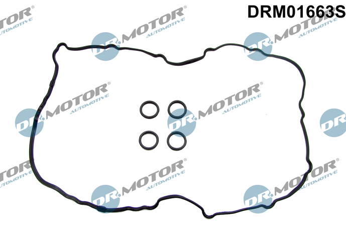 drm_drm01663s_wm_01