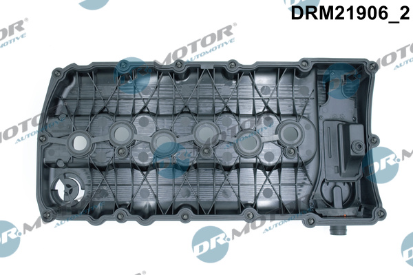 drm_drm21906_wm_02