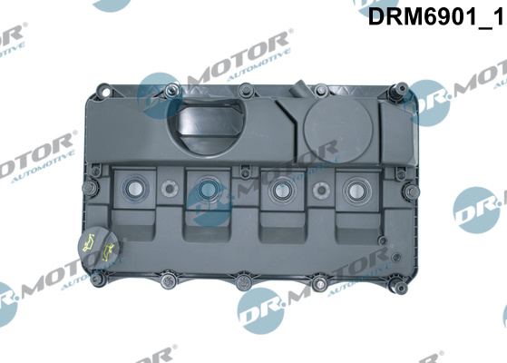 drm_drm6901_wm_01