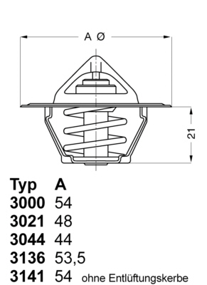 BorgWarner (Wahler) 3000.90 Thermostat, coolant