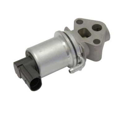 MAGNETI MARELLI 571822112020 EGR Valve